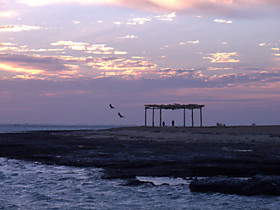 Две парочки