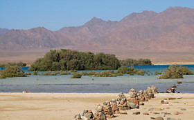Nabq / Набк