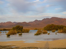 Начался прилив