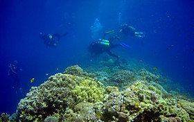 ДАЙВИНГ В ДАХАБЕ